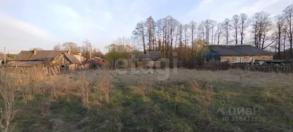 Участок в Брянская область, Навля рп ул. Речная (12.0 сот.) - Фото 0