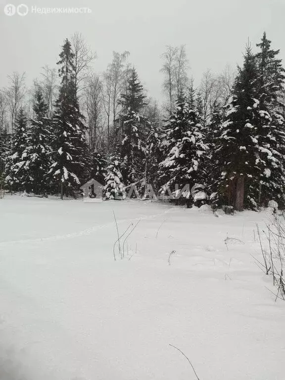 Участок в Иссадское сельское поселение, ДНП Рыбацкое, Береговая улица ... - Фото 1