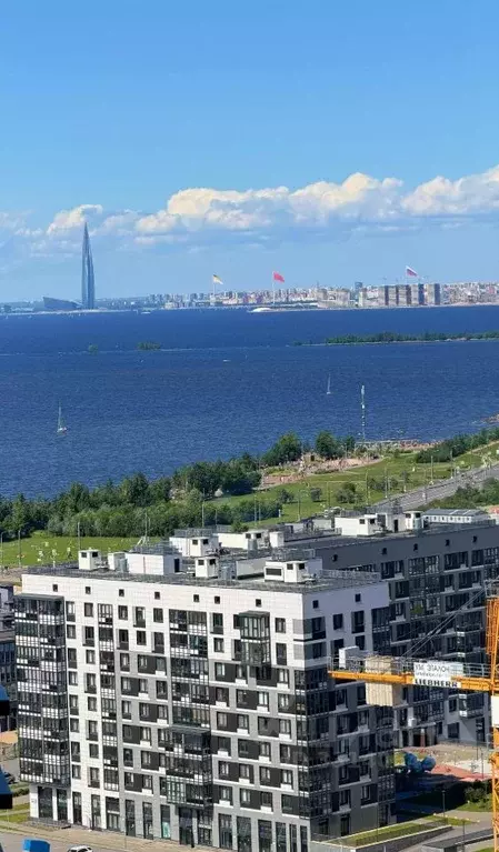 1-к кв. Санкт-Петербург просп. Героев, 33с1 (43.0 м) - Фото 1