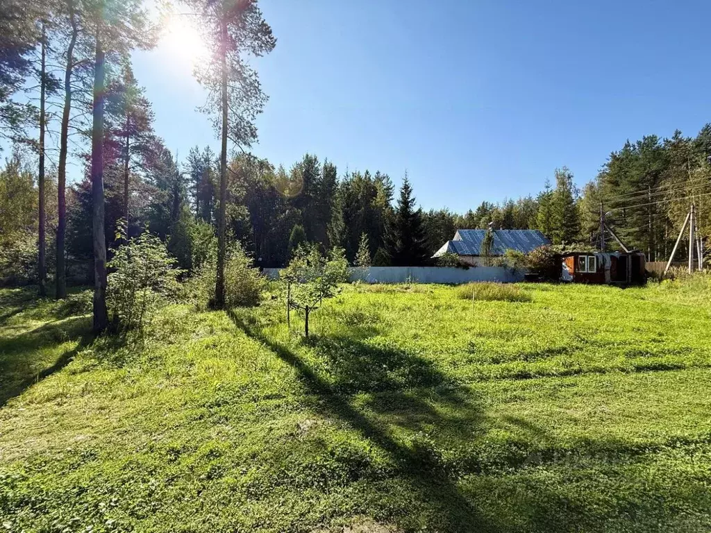 Участок в Ленинградская область, Всеволожское городское поселение, ... - Фото 2