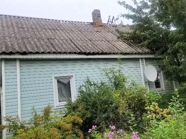 Дом в Псковская область, Гдов городское поселение, Устье кп  (88 м) - Фото 2