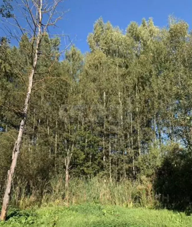 Участок в Московская область, Химки Клязьма кв-л,  (8.0 сот.) - Фото 1