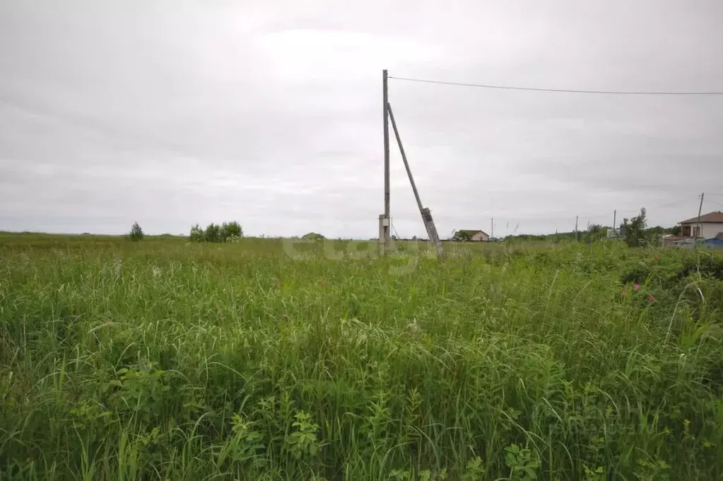 Участок в Сахалинская область, Анивский городской округ, с. Рыбацкое  ... - Фото 2