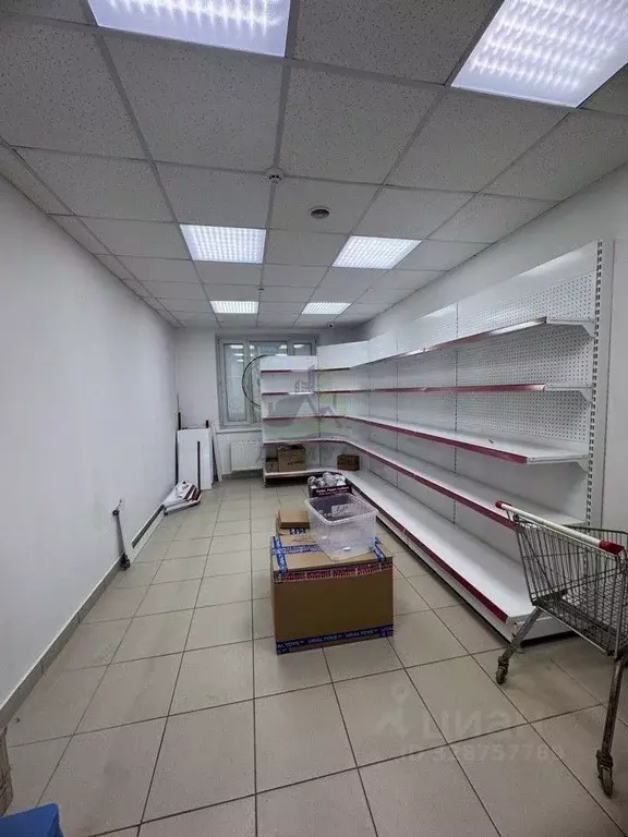 Помещение свободного назначения в Московская область, Раменское ул. ... - Фото 1