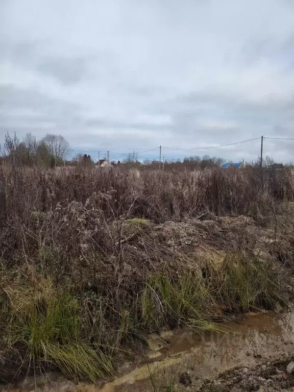 Участок, 11 сот., поселения (ижс) - Фото 1