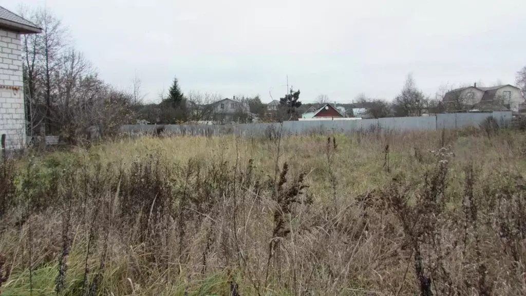 Участок в Московская область, Коломна городской округ, с. Нижнее ... - Фото 2