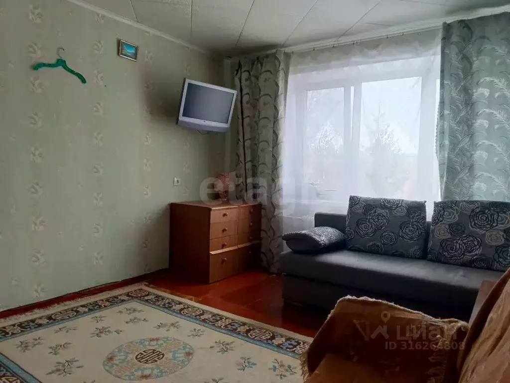 1-к кв. Псковская область, Остров Авиационная ул., 6 (29.4 м) - Фото 1