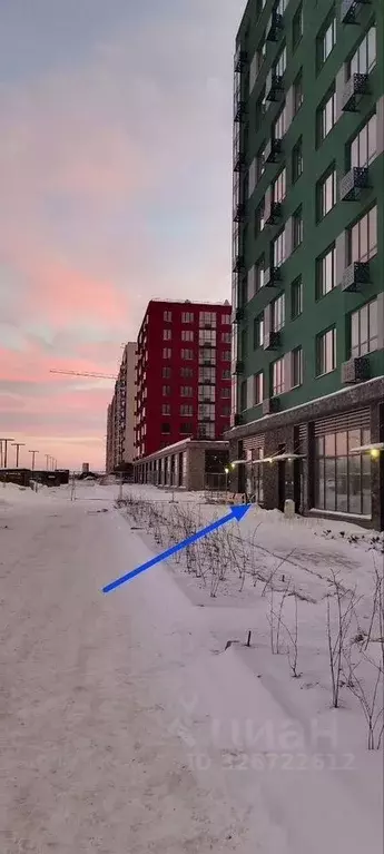 Помещение свободного назначения в Ленинградская область, Ломоносовский ... - Фото 2