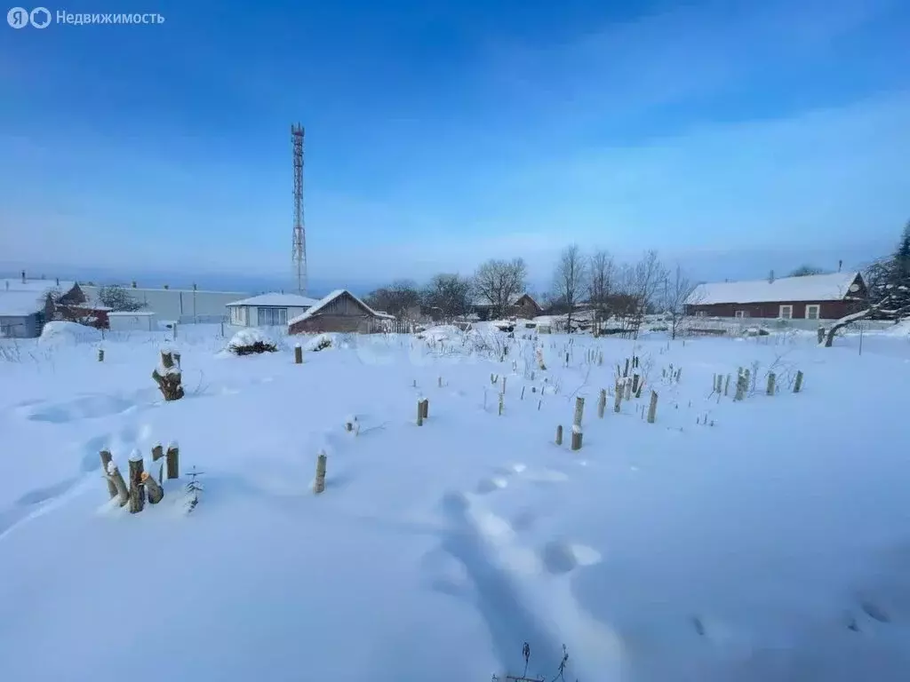 Участок в Красносельский район, Боровиковское сельское поселение, ... - Фото 1
