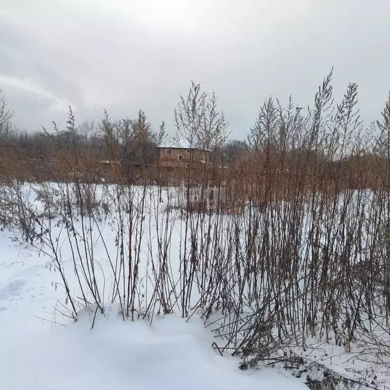 Участок в Хабаровский край, Хабаровский район, с. Корсаково-2 ул. ... - Фото 0