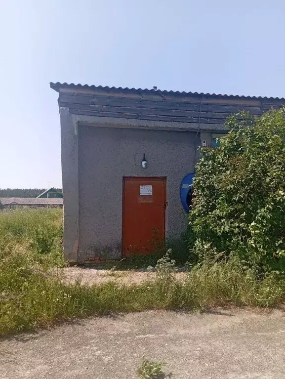 Помещение свободного назначения в Курганская область, Кетовский ... - Фото 1