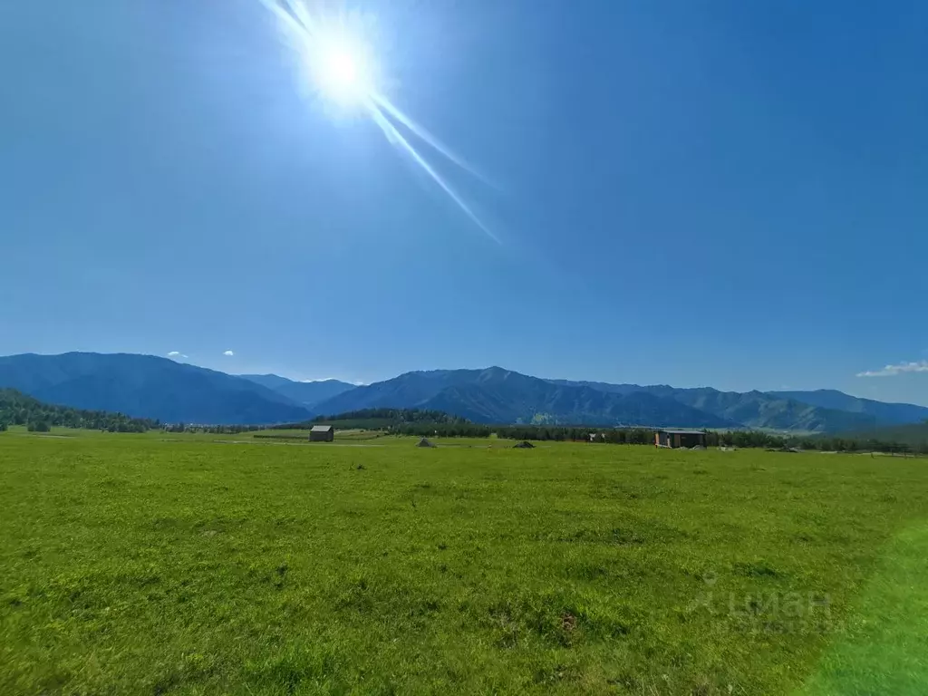 Участок в Алтай, Чемальский район, Элекмонарское с/пос, с. Элекмонар  ... - Фото 1