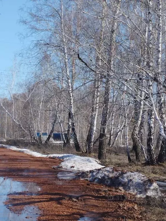 Участок в Челябинская область, Копейск Березка-4 СНТ,  (13.06 сот.) - Фото 1