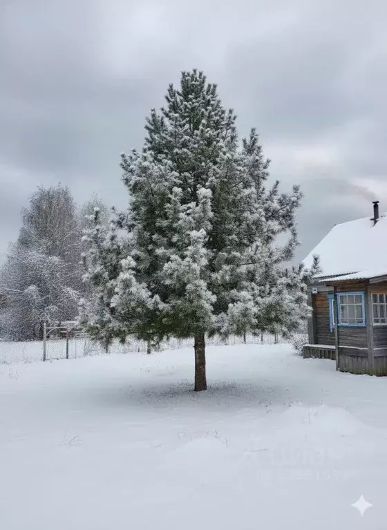 Дом в Ярославская область, Рыбинский муниципальный округ, с. Арефино ... - Фото 1