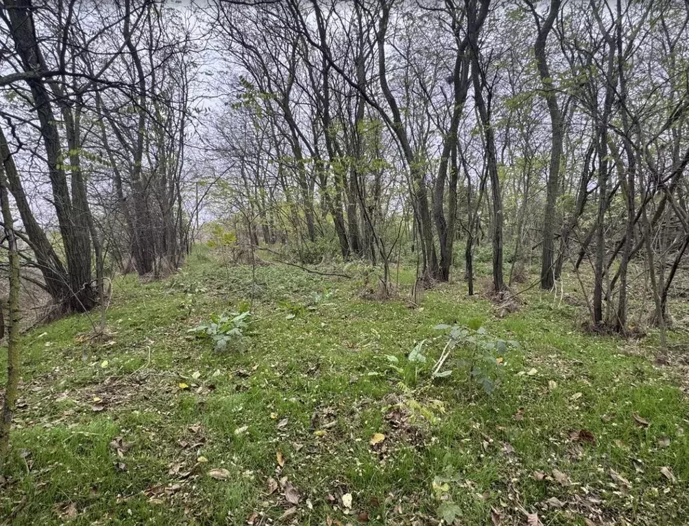 Участок в Краснодарский край, Калининский район, Джумайловское с/пос, ... - Фото 2