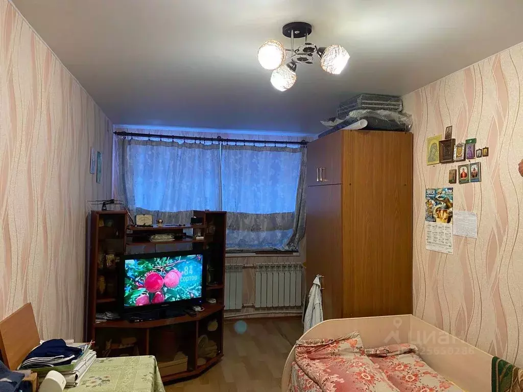 1-к кв. Новгородская область, Валдай ул. Энергетиков, 9 (30.2 м) - Фото 1