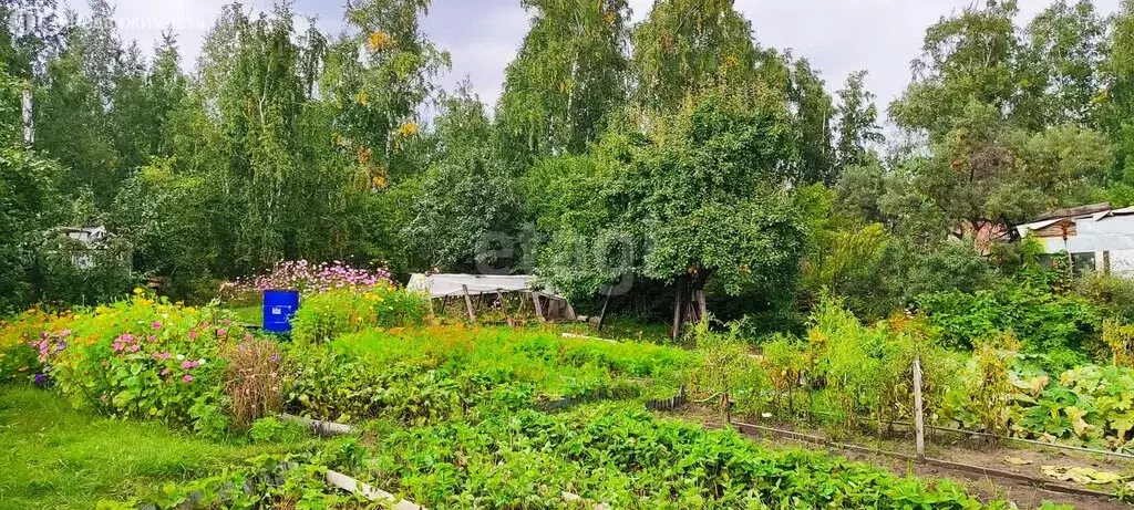 Участок в Челябинск, садовое товарищество Дружба (5.1 м) - Фото 0