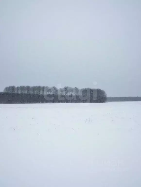 Участок в Тульская область, Ефремовский муниципальный округ, д. ... - Фото 1