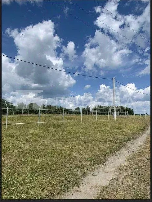 Участок в Новосибирская область, Ордынский район, с. Красный Яр ул. ... - Фото 1