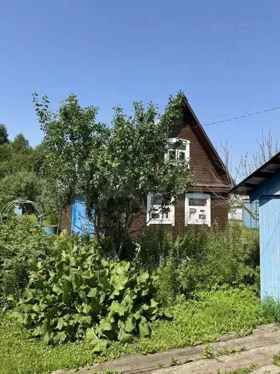 Дом 50 м на участке 16,5 сот. - Фото 1
