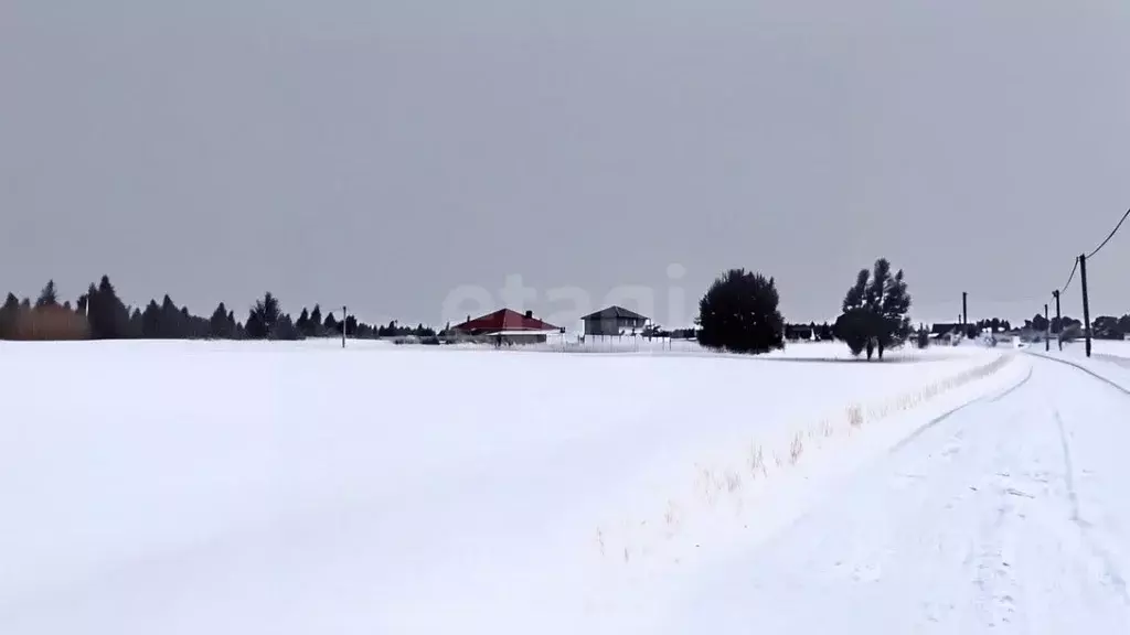 Участок в Ярославская область, Ярославский муниципальный округ, Новые ... - Фото 0