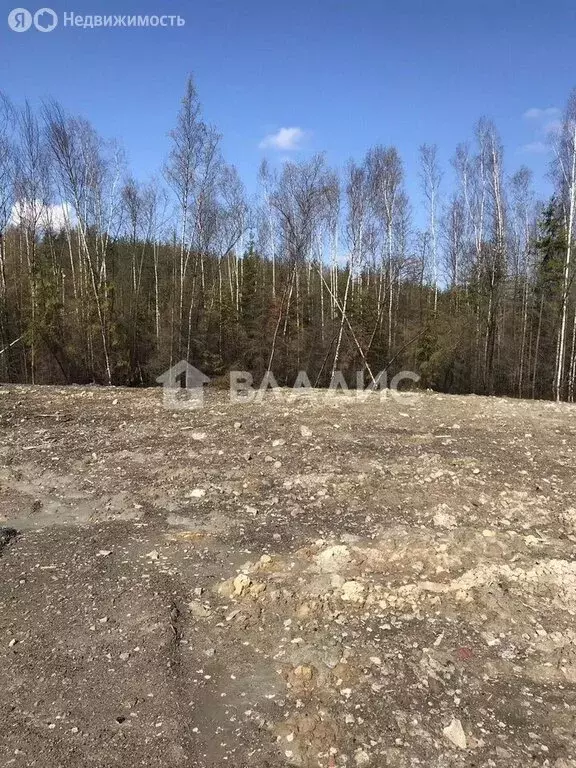 Участок в Мистолово, КП Охтинское Раздолье, 17А (9 м) - Фото 0