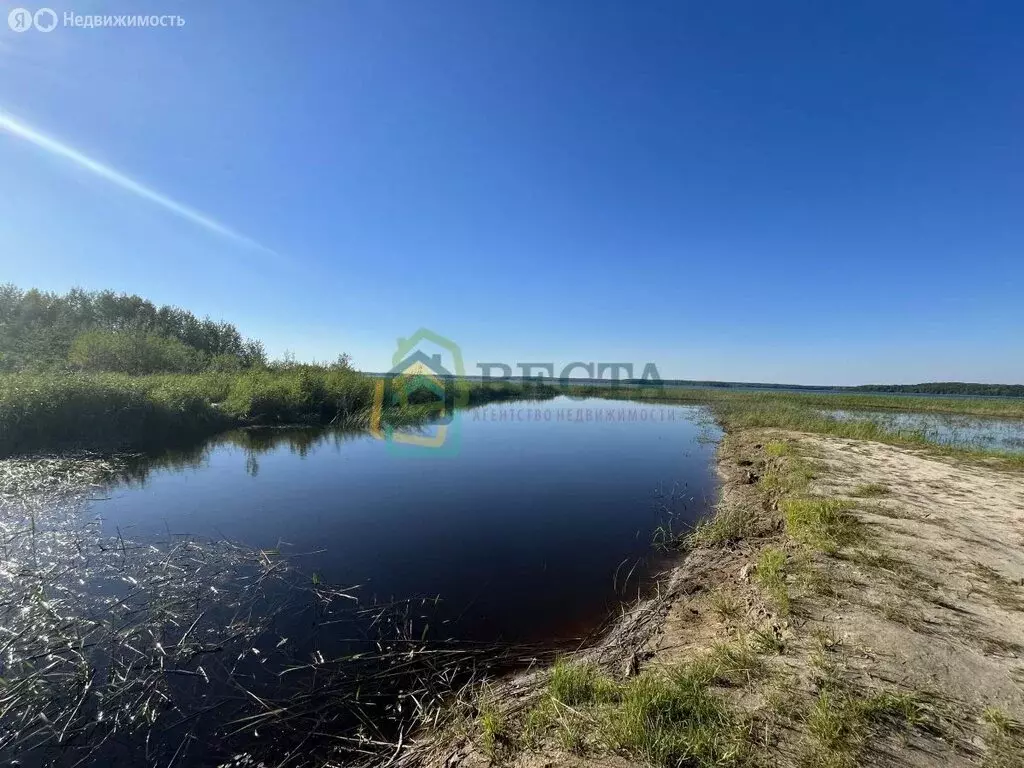 Участок в Приозерский район, Красноозёрное сельское поселение, деревня ... - Фото 0