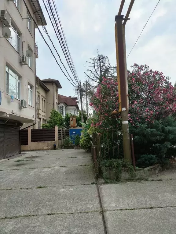 Студия Краснодарский край, Сочи городской округ, с. Краевско-Армянское ... - Фото 1