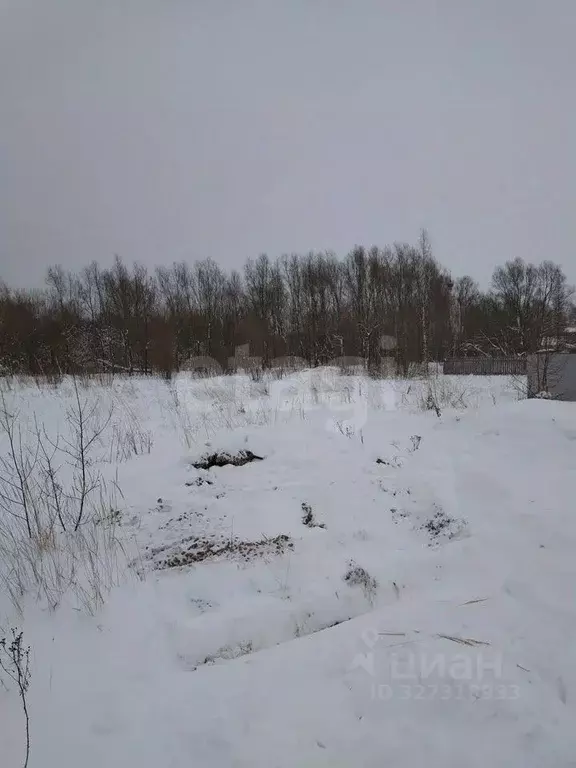 Участок в Ярославская область, Ярославский муниципальный округ, д. ... - Фото 2