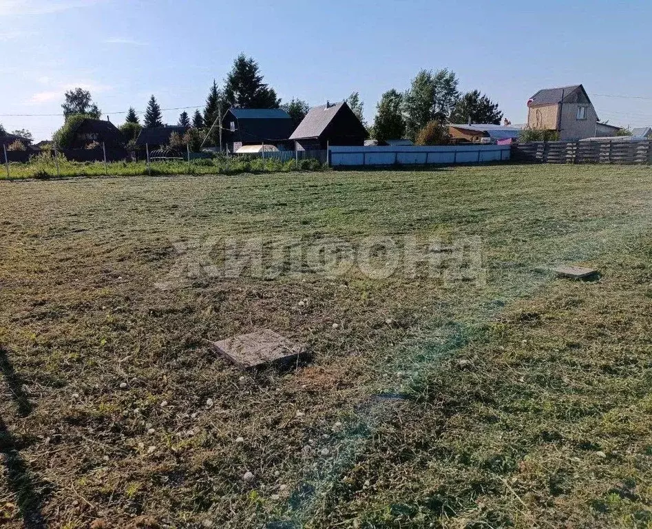 Участок в Новосибирская область, Колыванский район, Луговое СТ  (11.0 ... - Фото 2