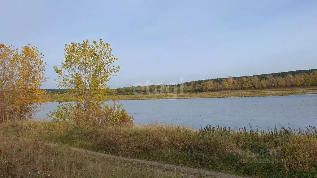 Участок в Кемеровская область, Кемеровский район, д. Денисово ... - Фото 0