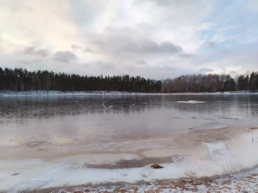 Участок в Ленинградская область, Приозерский район, Ромашкинское ... - Фото 2