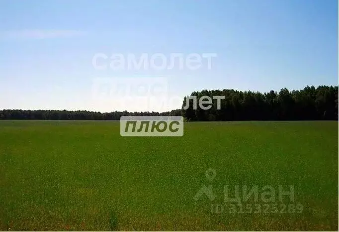 Участок в Челябинская область, Сосновский район, д. Алишева  (210.0 ... - Фото 1