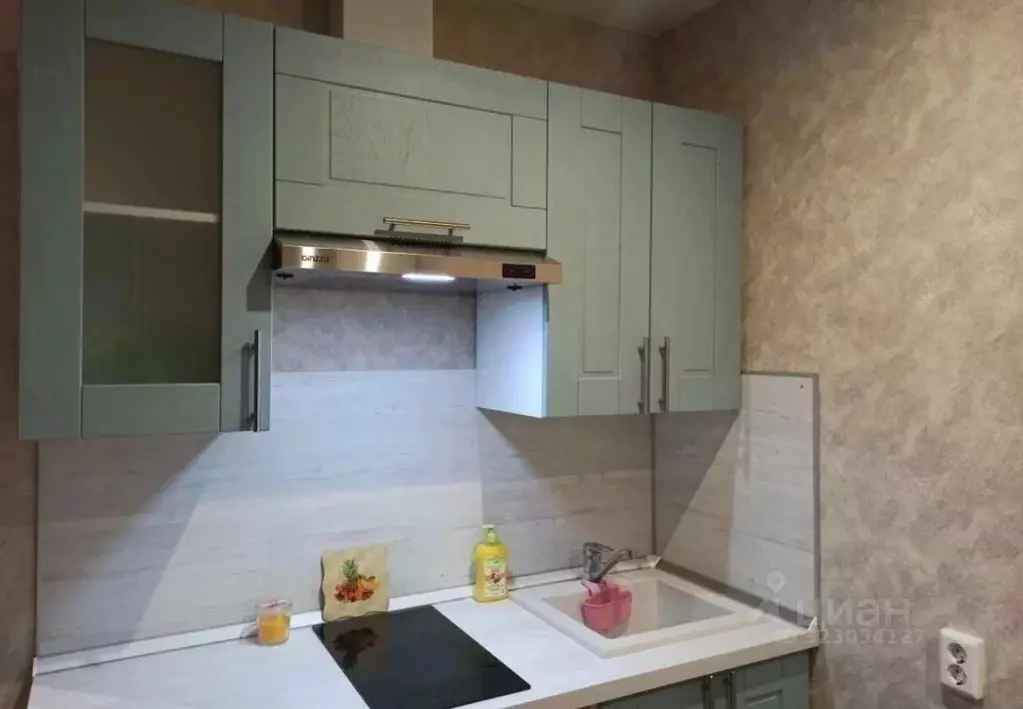 Студия Рязанская область, Рязанский муниципальный округ, с. Дядьково ... - Фото 1