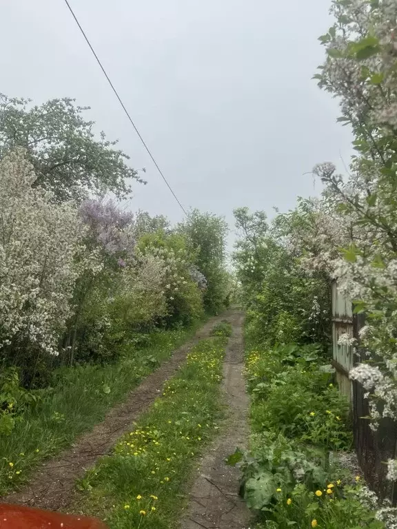 Дом в Челябинская область, Челябинск Дружба СНТ, 4-3344 (11 м) - Фото 1