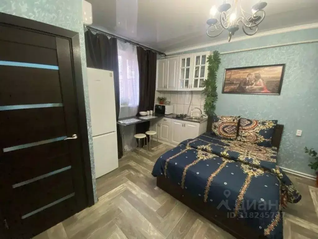 1-к кв. Ростовская область, Сальск ул. Коломийцева, 139 (22.0 м) - Фото 1