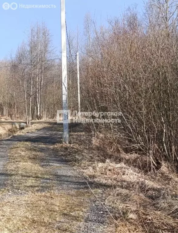 Участок в Кировский район, Синявинское городское поселение, СНТ ... - Фото 2