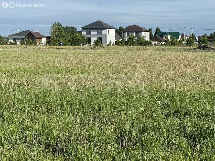 Участок в Тюменский район, деревня Елань (6.2 м) - Фото 0