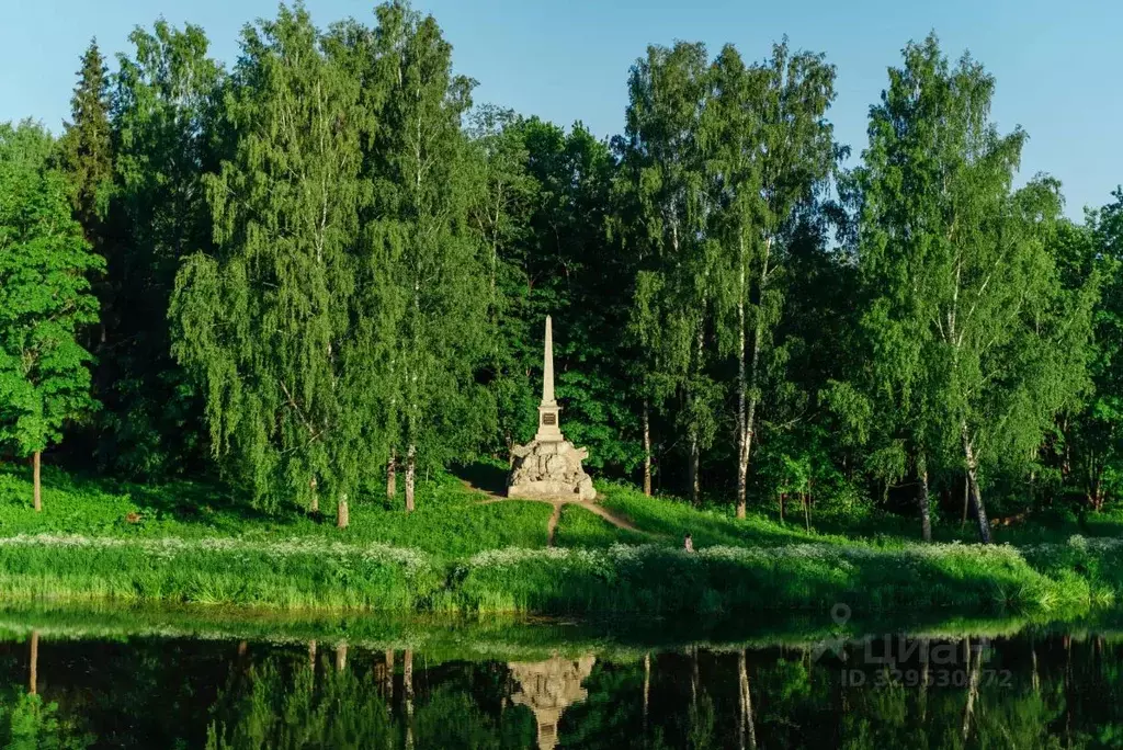 Участок в Санкт-Петербург, Санкт-Петербург, Павловск Негород Павловск ... - Фото 2