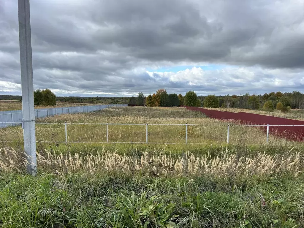Участок в Владимирская область, Александровский муниципальный округ, ... - Фото 1