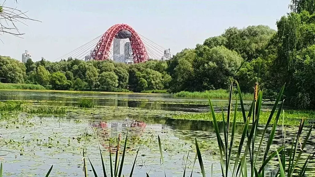 Дом в Москва 4-я Хорошевского Серебряного Бора линия, 18к3 (1300 м) - Фото 1