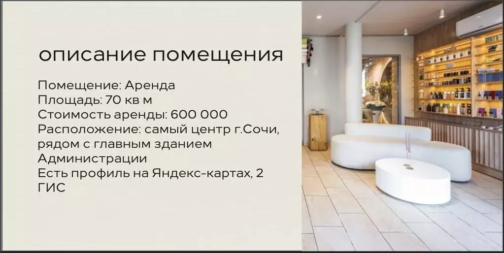 Торговая площадь в Краснодарский край, Сочи Центральный мкр, ул. ... - Фото 2