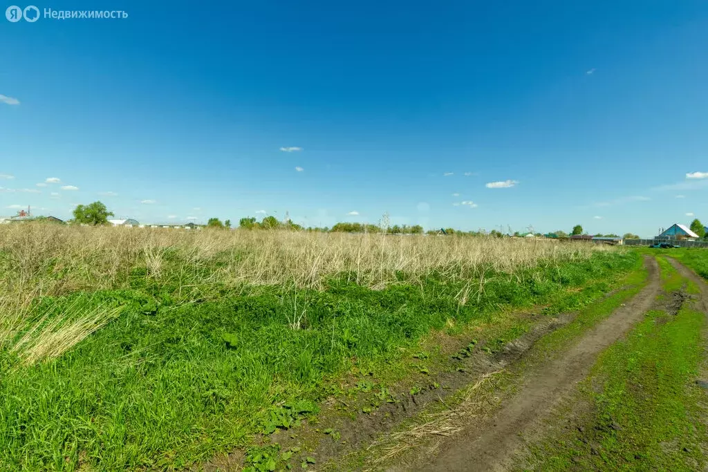 Участок в село Рассвет, Молодёжная улица (33 м) - Фото 2