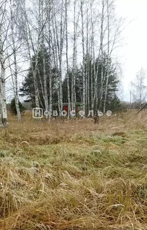 Участок в Рязанская область, Клепиковский муниципальный округ, ... - Фото 1