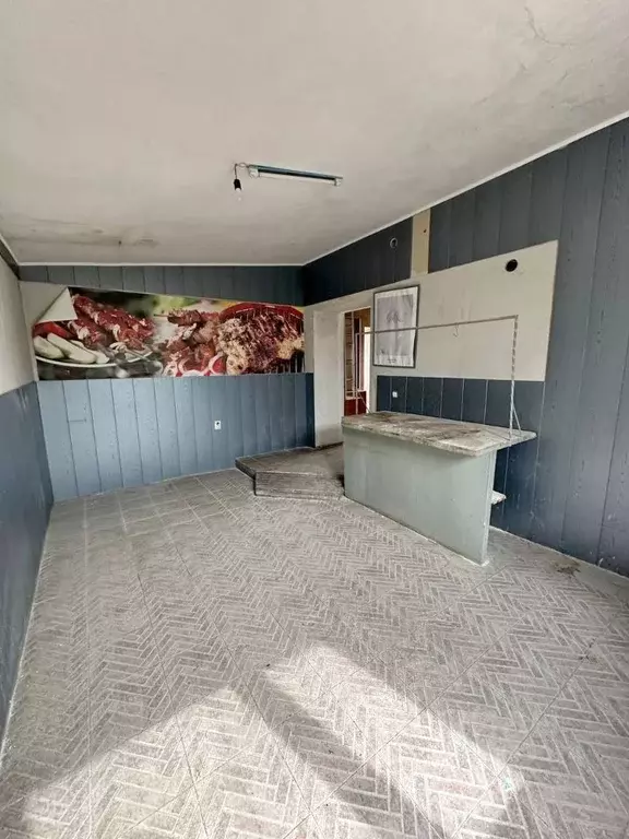Торговая площадь в Крым, Черноморское пгт ул. Димитрова, 5Б (47 м) - Фото 1