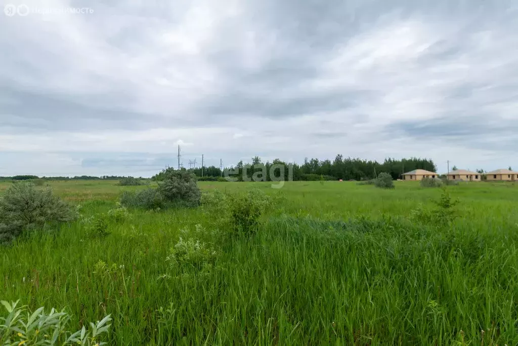 Участок в Тюменский район, село Ембаево (7.1 м) - Фото 0