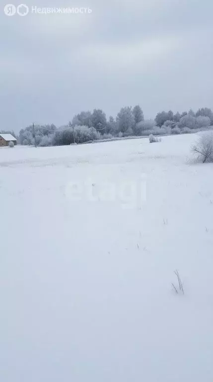 Участок в Тульская область, городской округ Новомосковск, деревня ... - Фото 2