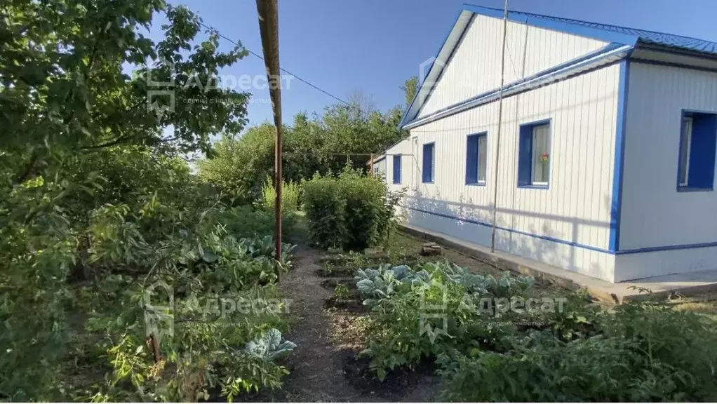 Дом в Волгоградская область, Новоаннинский Перевозинская ул. (62 м) - Фото 1