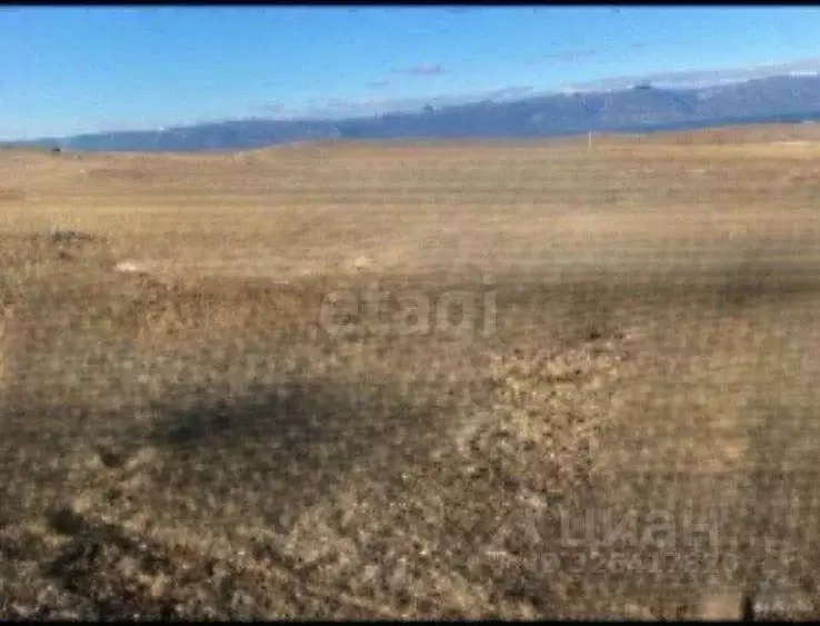 Участок в Иркутская область, Ольхонский район, Хужирское муниципальное ... - Фото 1