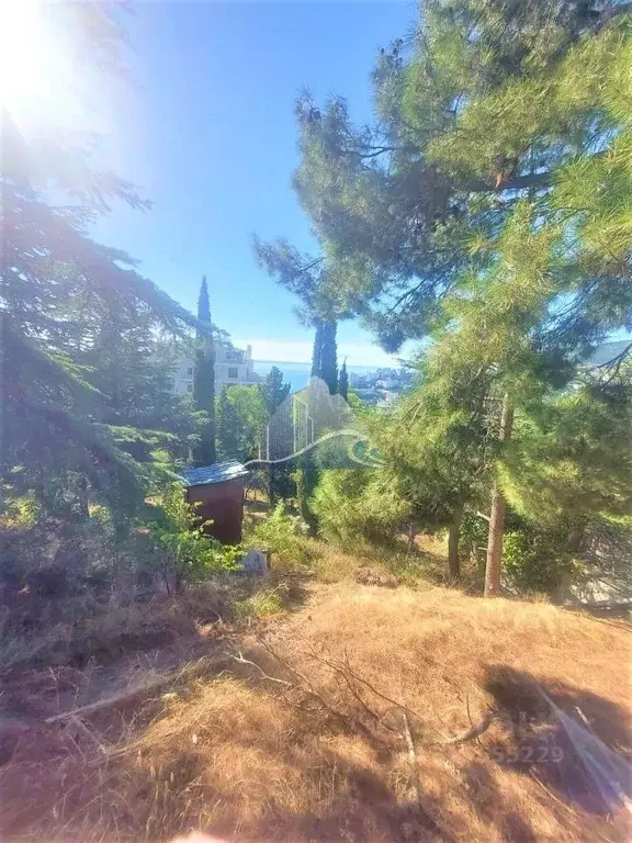 Участок в Крым, Ялта ул. Войкова, 26 (9.0 сот.) - Фото 1